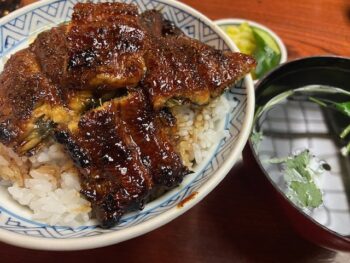 うなぎのぼり