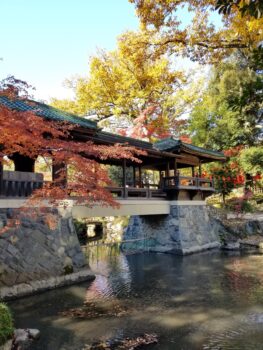 名古屋建築探訪☆揚輝荘北園