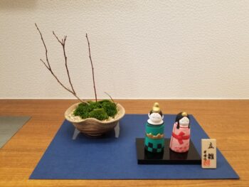 盆栽セミナー✡️
