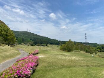 雨の合間に