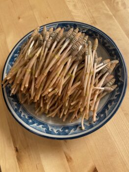 今シーズン最後かな