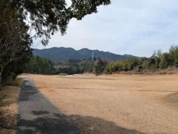 もうすぐ春ですね