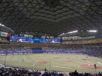 今シーズン始まるよ