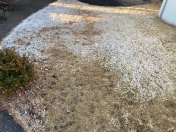 雪がちらほら