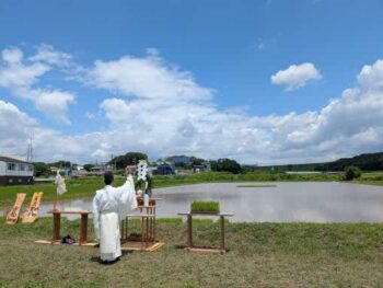高波動米