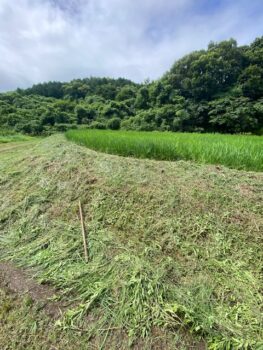 この時期は早い・・・