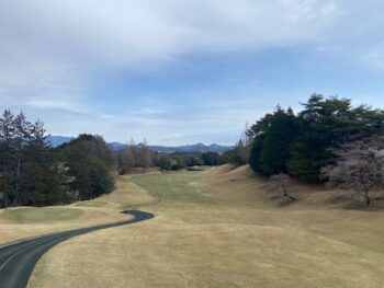 シーズンイン