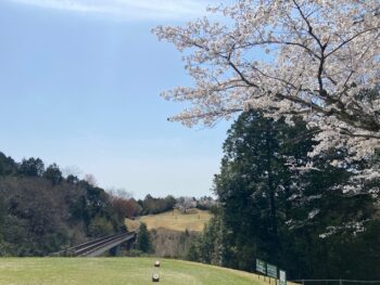 本当に最後かな