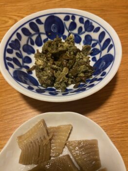 春気分！？