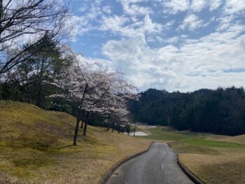 また来年