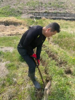 田起こし