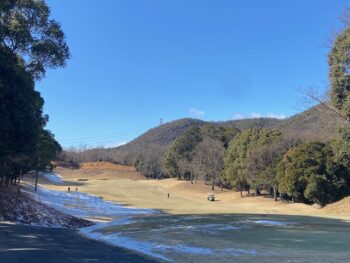 カレーネタ３日目