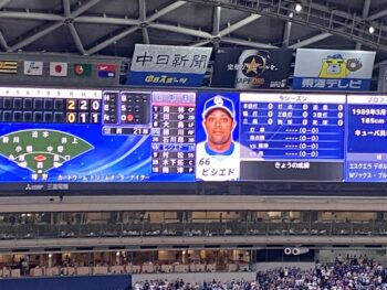 今シーズン初